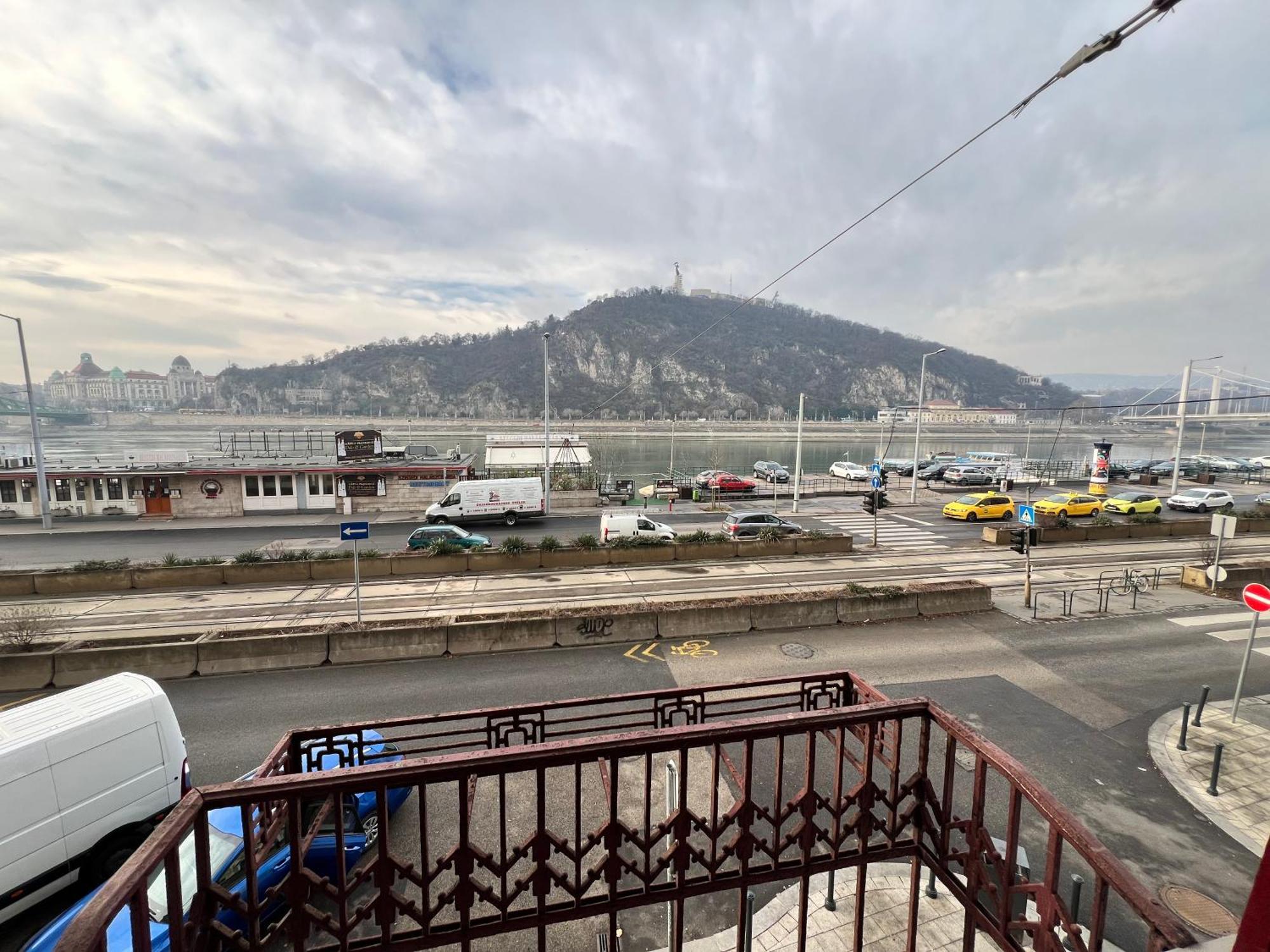 Danube View